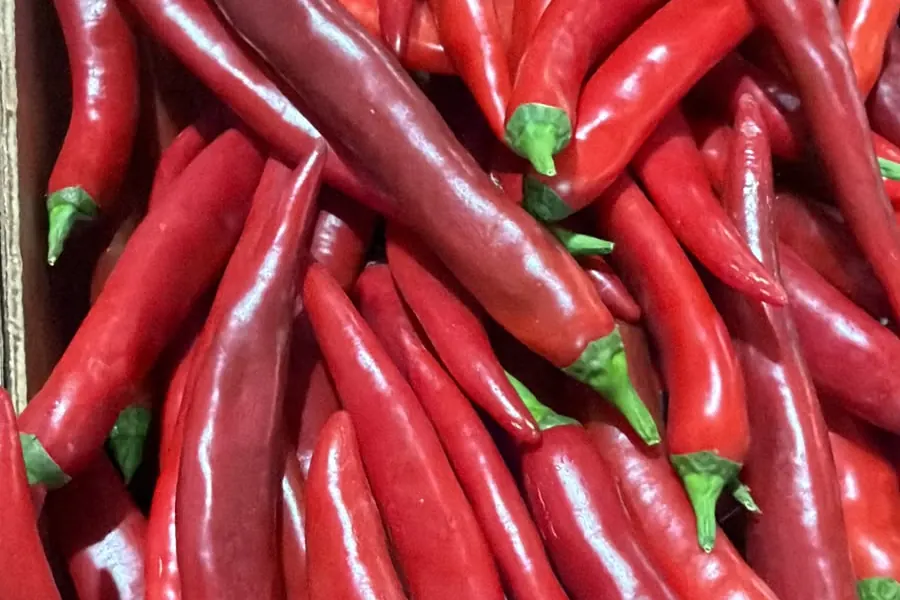 Piment fort — Soussprod