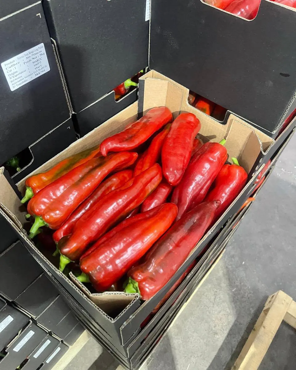 Poivrons kapia rouges en carton export étiqueté Soussprod