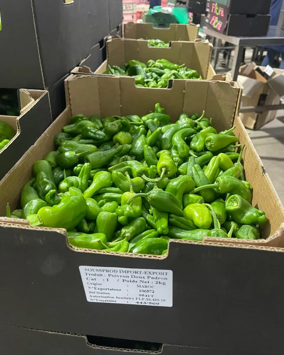 Poivrons Padrón en cartons étiquetés Soussprod